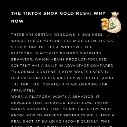 "REACH THE SKY WITH TIKTOK SHOP" E-Book Guide